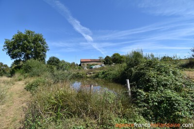 Boerderij met 7 hectare en diverse bronnen