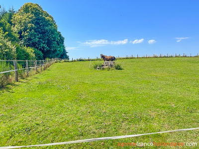 Gerenoveerde longère boerderij met gîte