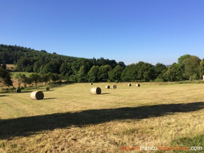 Landelijk leven in een rustig dorpje