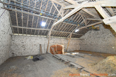 Opgeknapt en met 3 hectare