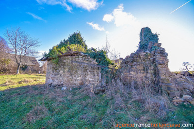 Opgeknapt en met 3 hectare