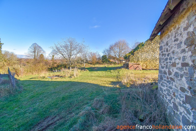 Opgeknapt en met 3 hectare
