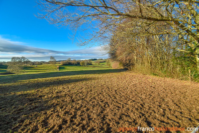 Opgeknapt en met 3 hectare