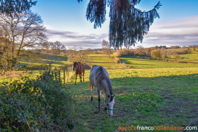 Opgeknapt en met 3 hectare