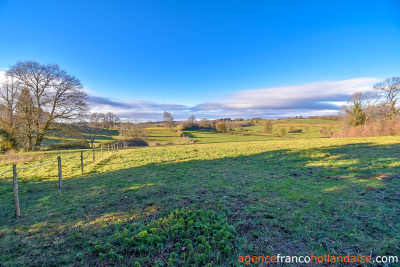 Opgeknapt en met 3 hectare