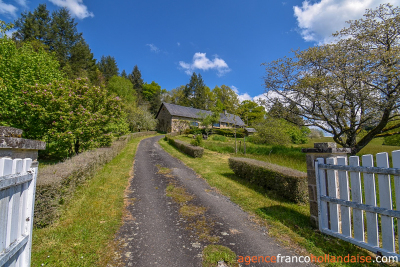 Twee woningen, 11 hectare en rust