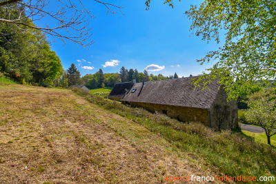 Twee woningen, 11 hectare en rust