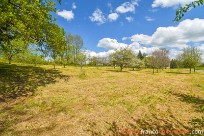 Twee woningen, 11 hectare en rust