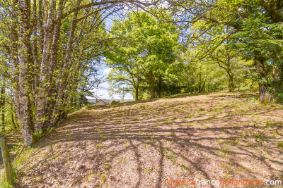 Twee woningen, 11 hectare en rust