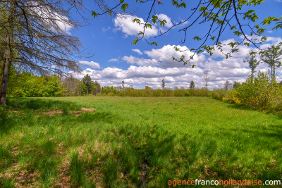 Twee woningen, 11 hectare en rust