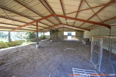 Vastgoed project tussen de weilanden