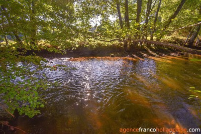 Ensemble met 14,8 hectare