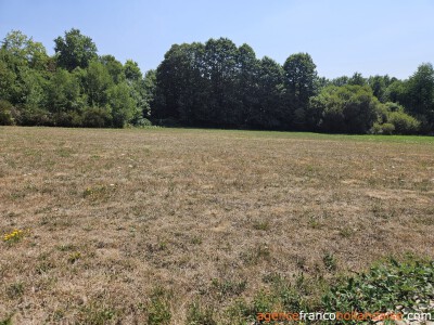 Domein met 3 woningen
